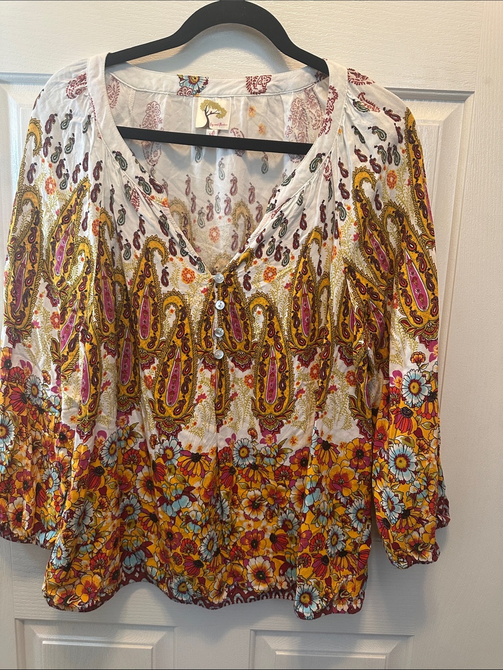 Anthropologie fig and flower Boho Paisley Floral Button V-Neck Blouse XL